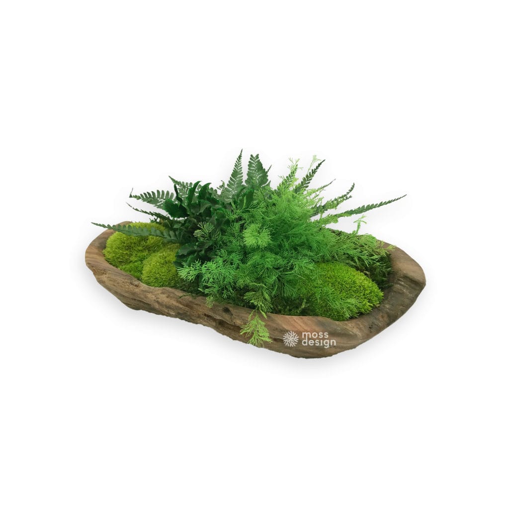 Rosewood bowl - plants and moss - 30cm