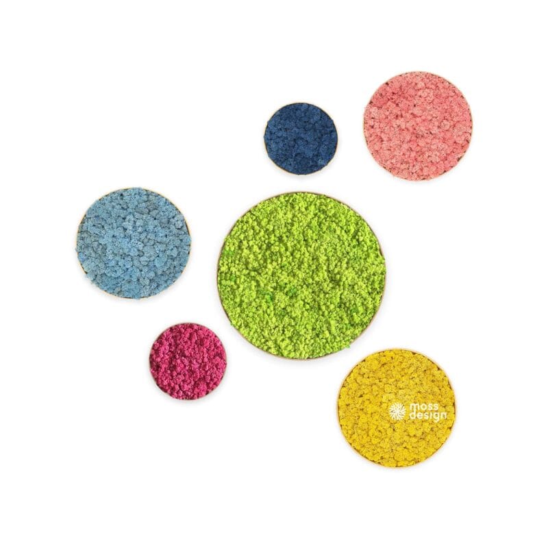 Machové obrazy DOTS