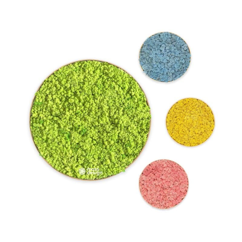 Machové obrazy COLOR