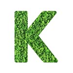 addon_img