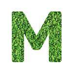 addon_img
