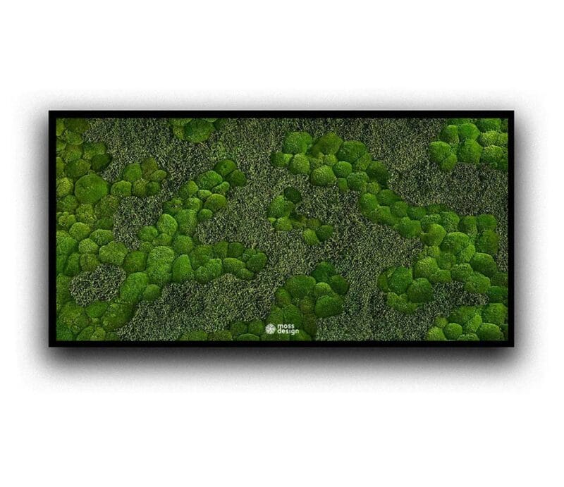 Machový obraz Terra lesní a kopcovitý mach