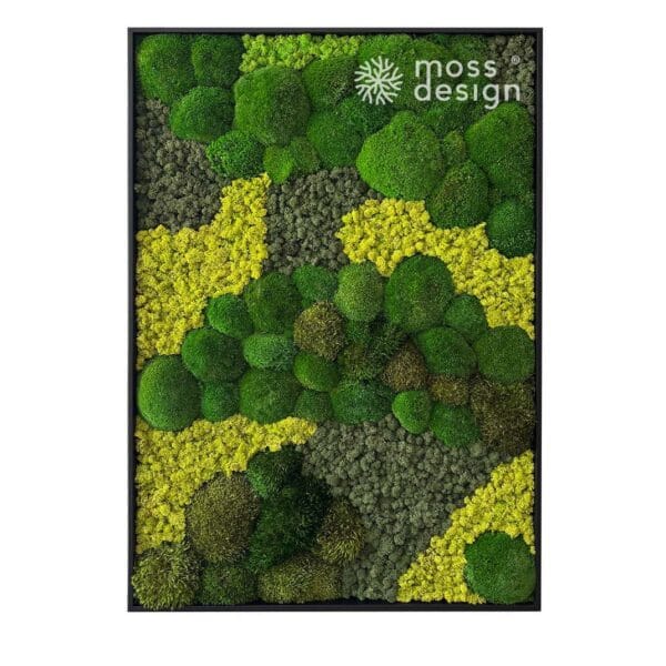 Square Moss Art VERDANT GAMMA