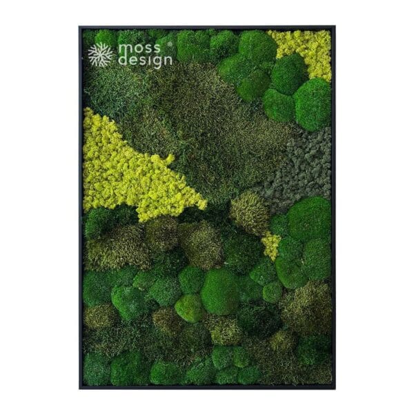 Square Moss Art VERDANT ALFA