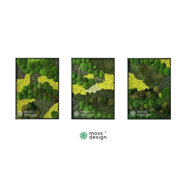 Mosses TRIO VERDANT