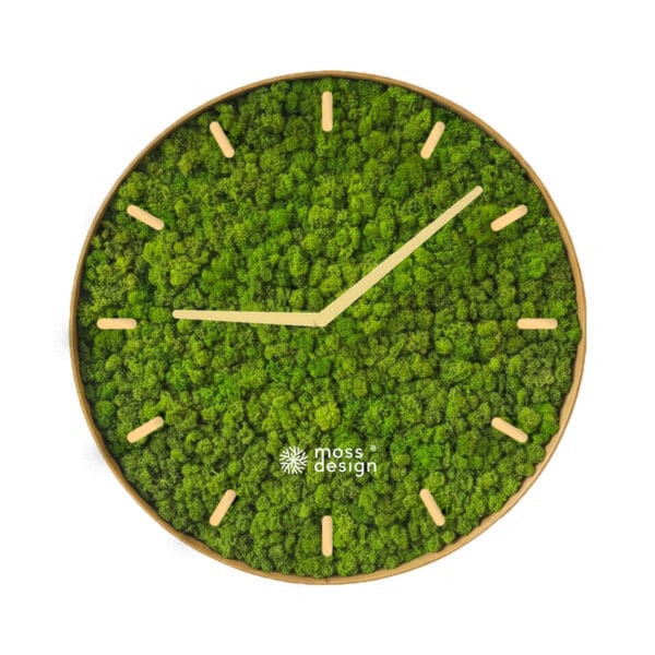 Moss Clock - Lichen - digits