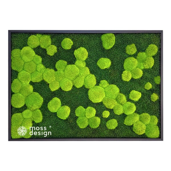 Moss Art - Hills and land