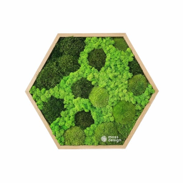 Moss Hexagon - Poesy