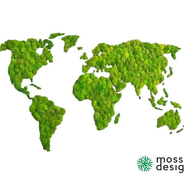 Wall moss world map - Ballmoss