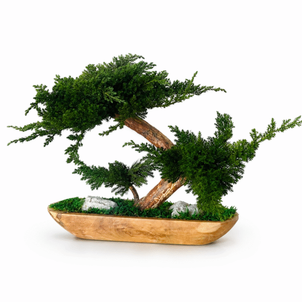 Teak Bowl - Plants and Moss (Kópia)