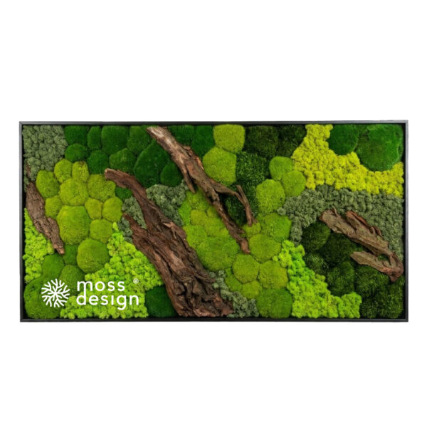 Square Moss picture BARK