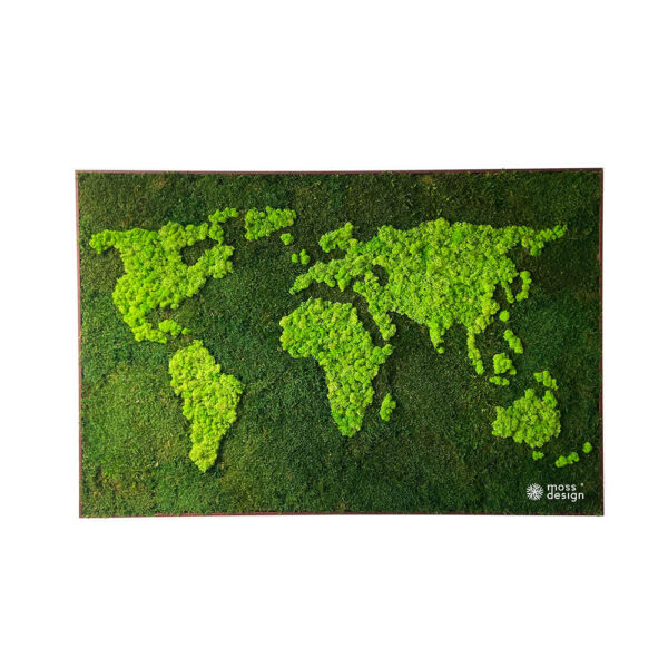 Moss World Map - Lichen and flatmoss