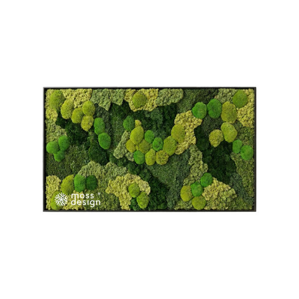 Mossart NATURE